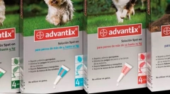 Az előnyöket és az utasításokat használják