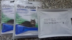 Csepp a bolhákból és kullancsokból a macskákkal