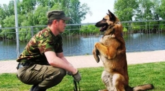 Cynológus vagy tulajdonos