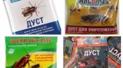 Kínai eszközök a csótányokból