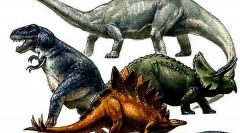 A dinoszauruszok osztályozása