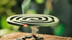 Szúnyog a kertben és a kertben