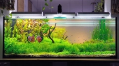 Kompresszor az akváriumhoz saját kezével: lépésenkénti gyártási utasítások