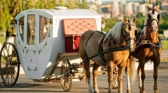 Utasszállító lovak