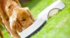 Purina pro plan dog feed: premium class ready