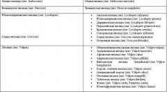 Fox - leírás, faj, ahol lakik