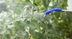 Top tools of tlima a növények