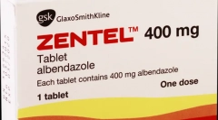 A férgek legjobb tablettái