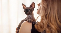 Cutie vagy sózott: mint a macska megjelenése a karakter meghatározásához