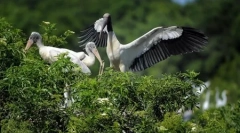 Az állatok világa a fotókban (18 db)