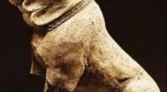 Molossa - kik ők: kutyafajta áttekintése