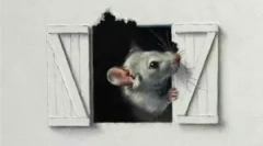 Egerek egy fából készült és ferde ház falaiban