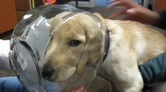 Leggyakoribb balesetek