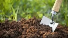 A földön élő rovarirtók