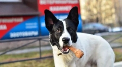 Figyelemre tartó követelmény