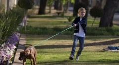 Húzza és póráz bunkó