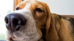 Neurológiai betegségek