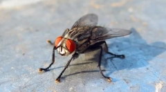 A hálószobák veszélyesek?