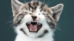 Alsó alsó ajak a cota-nál: okok és kezelési módszerek