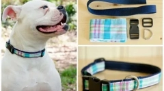 Kutya gallér a saját kezével: egyszerű oktatás