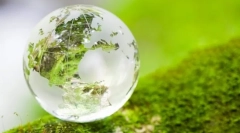 Az ökoszisztéma alapfogalma