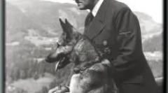 Daufman shepherd: ki ő