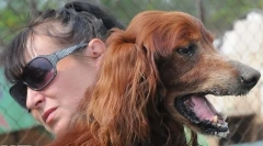 Apa a chappi reklámból: mi történt a legendás kutyával