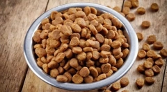 A száraz takarmány előnyei és hátrányai