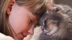 Miért zavarnak a macskák?