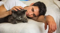 Miért mindig foglalja meg a macskákat