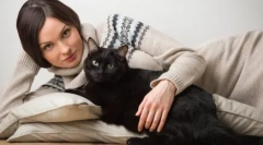 Miért a magányos nők tenyésztő macskák