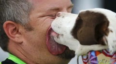 Miért kutya nyalja az arcot és a tulajdonos kezét?