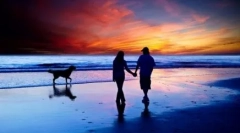 Miért hívják a kutyát az ember legjobb barátjának