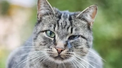 Miért szedje meg a szemét?