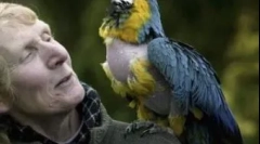 A földön élő legrégebbi állatok kiválasztása