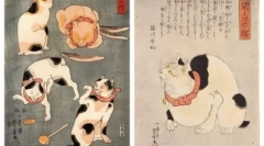 A macskák részletes leírása japán bobtail