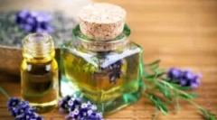 Népszerű olajok a tetvekből és a gidból