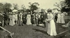 Brit és skót macskafajták: közös jellemzők és különbségek