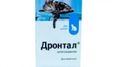 A macska megnövekedett lelassulása: miért keletkezik és milyen intézkedéseket kell tenni