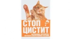 Kezelés stop cystitis a macskák számára: hatékony jogorvoslat a húgyhólyag és a vese gyulladásos betegségeihez