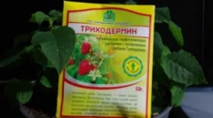 Előkészítő trifermin és utasítások használata