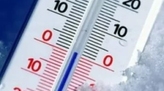 Milyen hőmérsékleten hal meg?