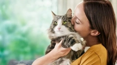 Az allergiák okai a macskákon