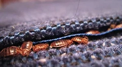 Okok, hogy miért jönnek a hibák