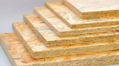 Okozza, hogy miért tűntek le a csótányok