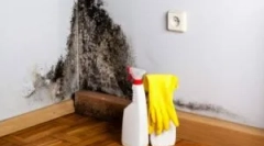 Az otthoni penész megjelenésének okai