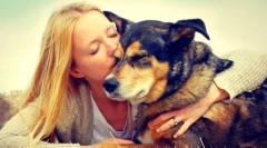 Menedék kutyák számára moszkvában és moszkva régióban. Adja meg az életét egy barátnak