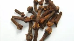 A parazitákból származó szegfű alkalmazása