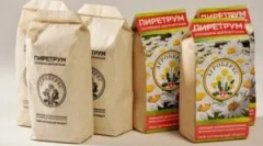 A piretrum használata a rovarok elpusztításához