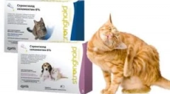 A macskák kábítószer-erődítmény alkalmazása